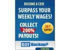 Earn with automated data backups