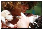 Lagotto Kennels: Your Destination for Adorable Lagotto Romagnolo Puppies in BC